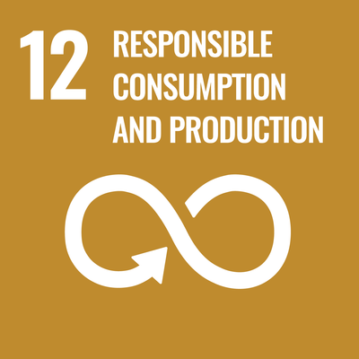 SDG 9
