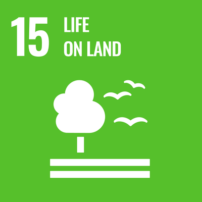 SDG 11